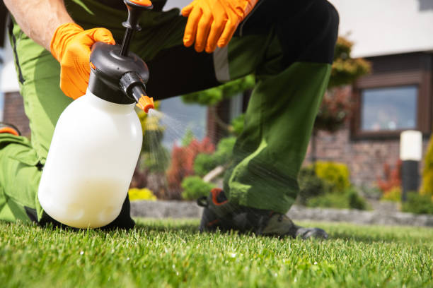 Best Pest Control Treatment  in Churchill, MT
