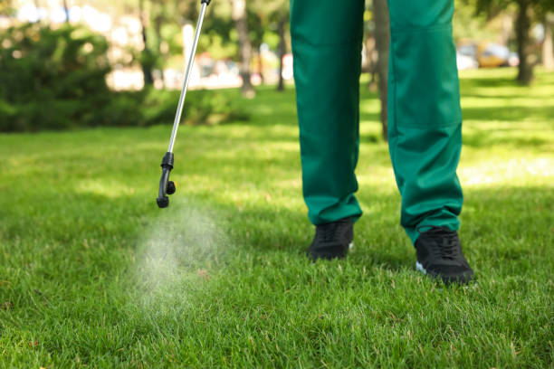 Best Local Pest Control Services  in Churchill, MT