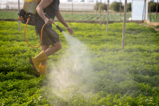 Best Pest Prevention Services  in Churchill, MT
