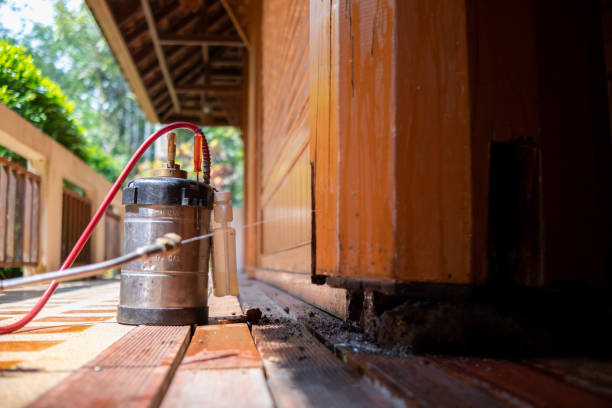 Best Local Pest Control Services  in Churchill, MT