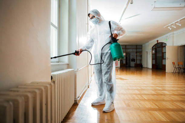 Best Termite Control Services  in Churchill, MT