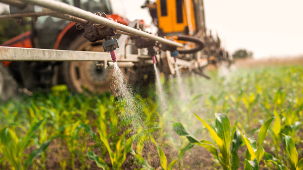 Best Mosquito Control Services  in Churchill, MT